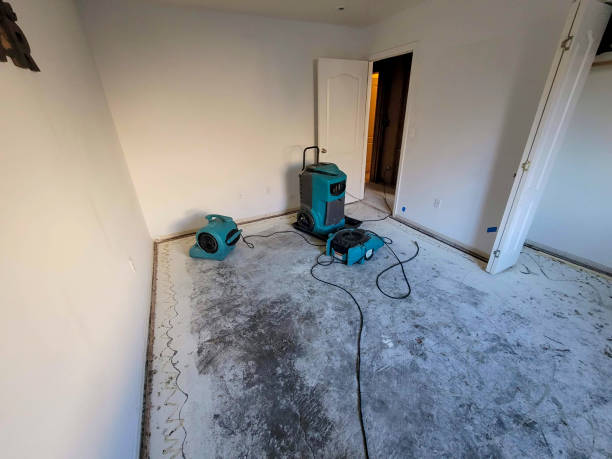 Best Sewage cleanup and water damage restoration  in Dumont, NJ