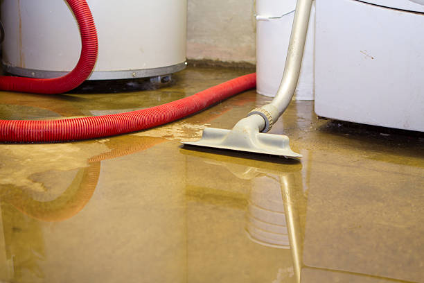 Best Professional water damage repair  in Dumont, NJ