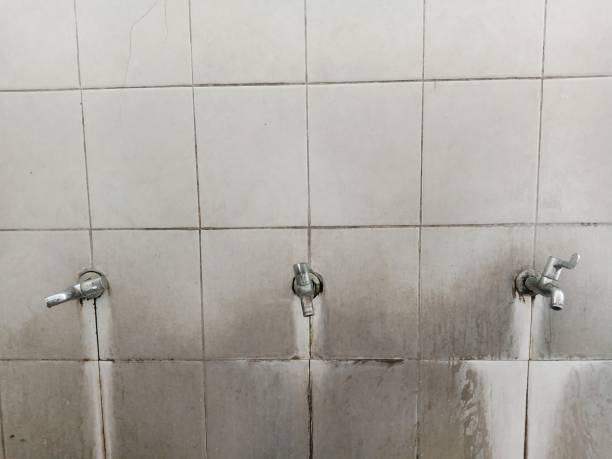 Best Emergency water damage restoration  in Dumont, NJ