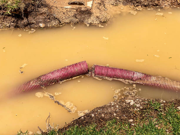 Best Water damage restoration near me  in Dumont, NJ