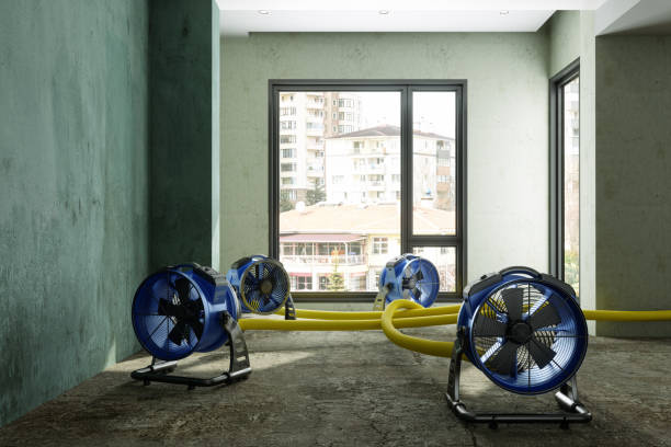 Best Water damage restoration process  in Dumont, NJ